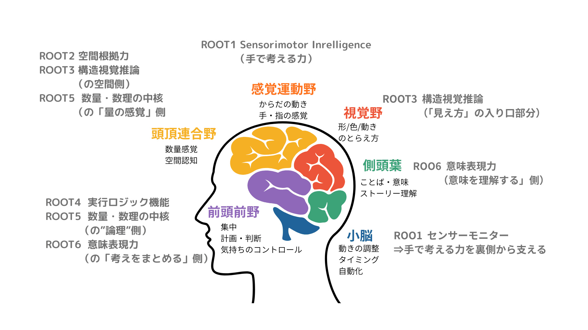 頭頂連合野・前頭前野など、SheSTEMの6つの思考Rootsに関連する脳の領域を示した図